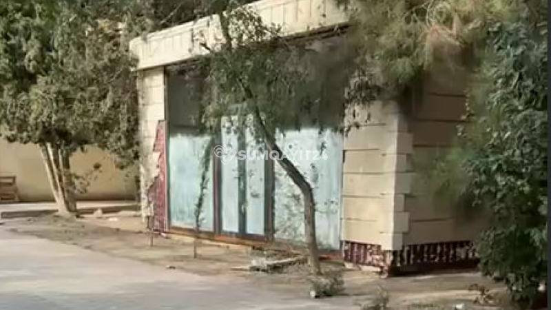 Sumqayıtda ağaclar kəsilərək yerində köşk quraşdırıldı – AÇIQLAMA