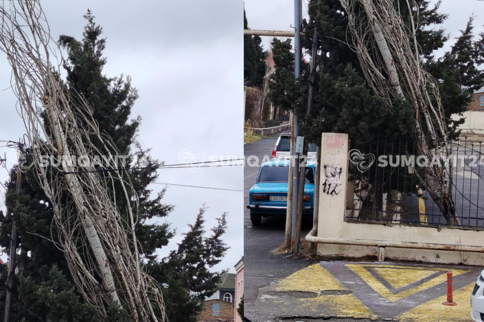 Sumqayıt məktəbində ağac naqillərin "ümidinə qalıb"