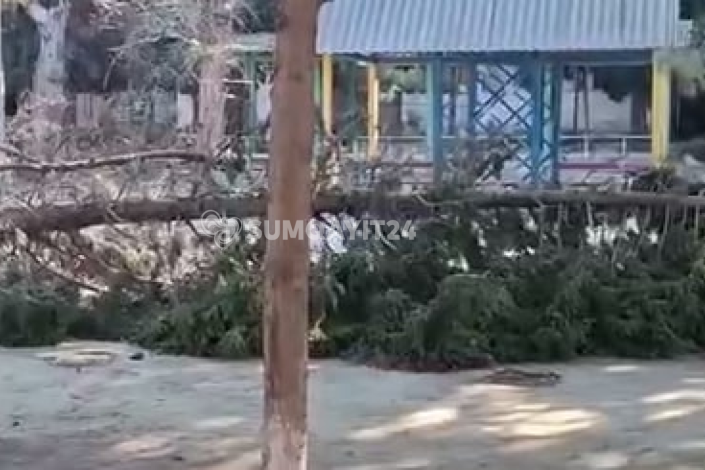 Sumqayıtda uşaqlar üçün riskli yol