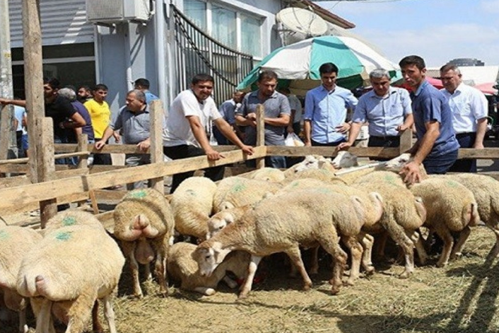 Sumqayıtda qurbanlıq heyvanların satışı və kəsimi bu ünvanlarda olacaq