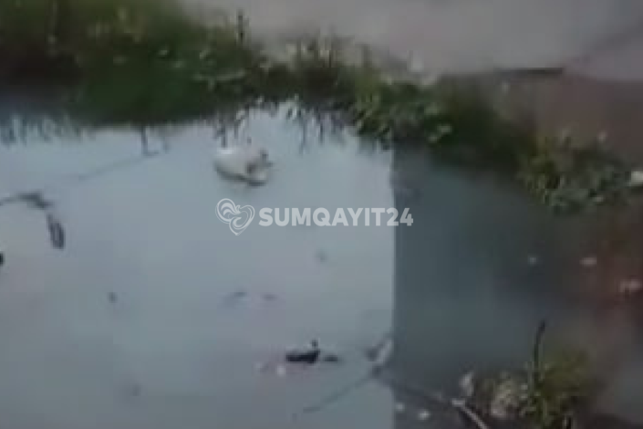 Sumqayıtda çirkab su problemi: Qurumdan açıqlama