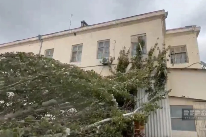 Sumqayıtda ağac peşə liseyinin üzərinə aşıb