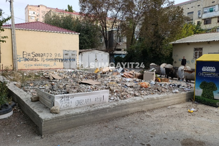 Sumqayıtda zibil qabları pəncərələrin altına qoyuldu - ŞİKAYƏT