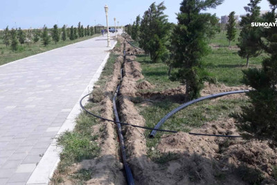 Sumqayıt bulvarında yeni suvarma sistemi quraşdırılır