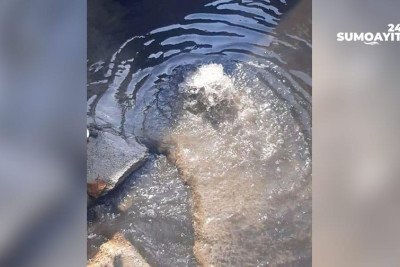 Xəzər bağları Maralgöl ərazisində kanalızasiya aşıb-daşır