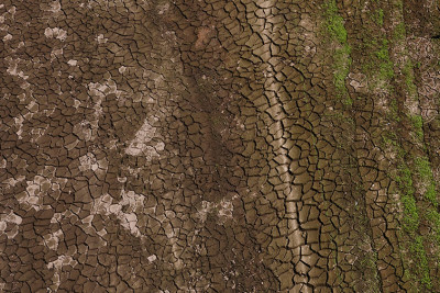 “Su qayıt” əfsanəsi