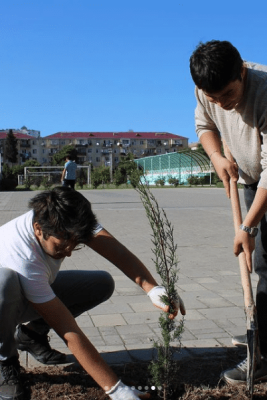 Sumqayıt: Gənclər evi ağacəkmə aksiyası təşkil edib