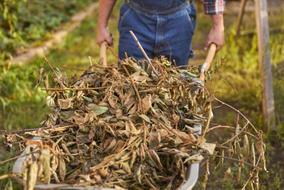 Sumqayıtda iməcilik işləri aparılıb
