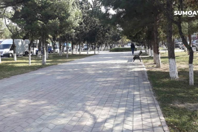 Sumqayıt: parklarda tullantı qablarının az olması sakinləri narahat edir
