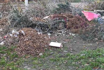 Sumqayıtda ağaclar, budaqlar, otlar günlərlə yığılır
