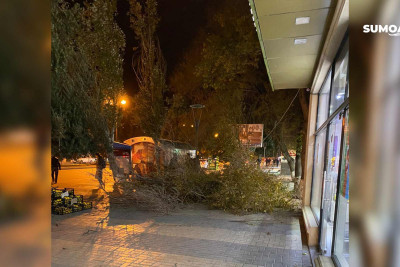 Sumqayıtda güclü külək bir sıra fəsadlar törədib
