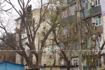Sumqayıt: 4-cü mikrorayonda ağaclar budanıb
