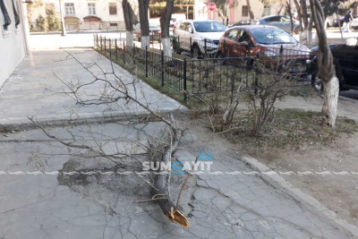 Sumqayıt: Heydər Əliyev prospektində küləyin fəsadları