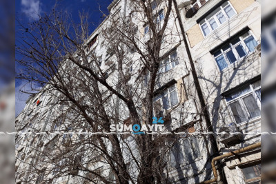 10-cu mikrorayonda quru ağaclar təhlükə mənbəyidir