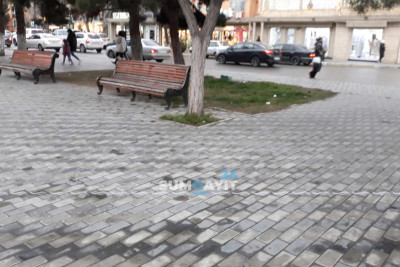 Şəhərin parklarında tullantı qabları yoxdur