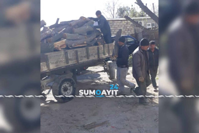 Sumqayıtda ağacların budanması davam edir