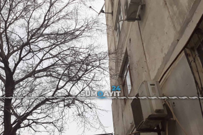 16-cı məhəllə sakinlərini evlərinin önündə yerləşən ağac narahat edir