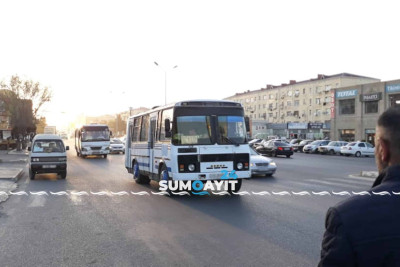 “Qurd dərəsi” bağlar massivində avtobus problemi yaşanır