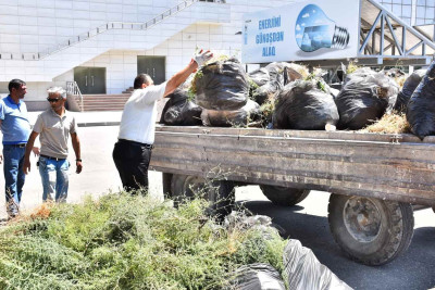 “Kimyaçı” Mədəniyyət Sarayında iməcilik işləri aparılıb