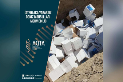 3 tondan çox dəniz məhsullu məhv edilib