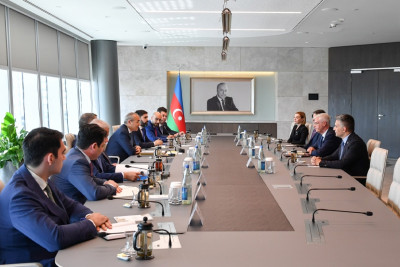 Şəhərimizdə iki növ qazın istehsalı planlaşdırılır