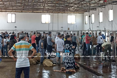 Qurbanlıq heyvan almaq istəyən sakinlər “Mal bazarı”na toplaşıb