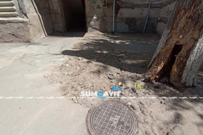 4-cü mikrorayonda hər an aşa biləcək ağac sakinləri narahat edir