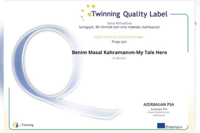 38 nömrəli məktəbin müəllimi xüsusi nişana layiq görülüb