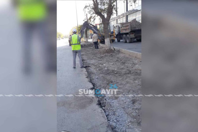 Sumqayıtda parkinq üçün yaşıllıq ərazi məhv edilir?