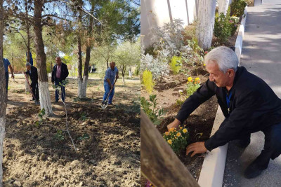 Şəhər ərazisində iməcilik və abadlıq işləri görülüb