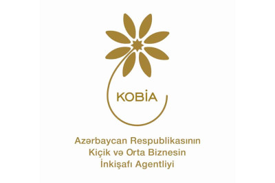 “Biznes ideya” mövzusunda pulsuz təlim olacaq