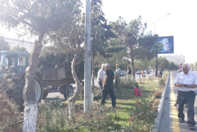 Yaşıllaşdırma istiqamətində işlər aparılıb