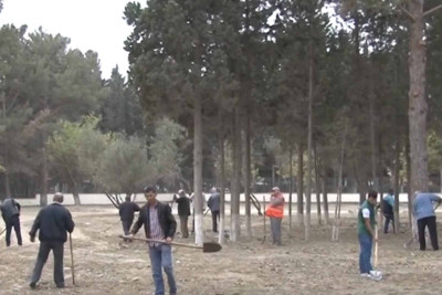 “Mehdi Hüseynzadə” stadionunun ətrafında abadlıq işləri görülüb