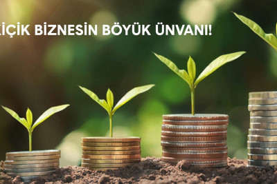 Biznes layihələri mövzusunda təlim təşkil olunacaq