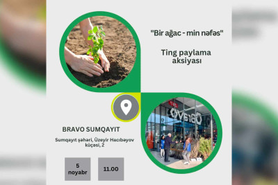 “Bir ağac - min nəfəs” adlı tingpaylama aksiyası keçiriləcək
