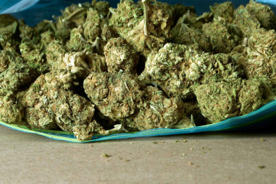 Polis əməkdaşları Sumqayıt sakinində marixuana tapıblar