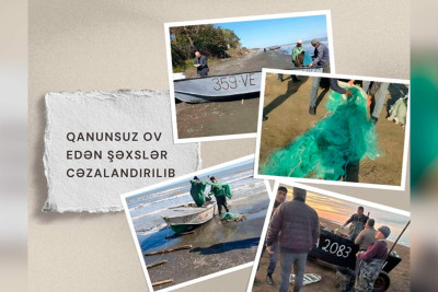 Qanunsuz balıq ovlayan Sumqayıt sakini cəzalandırılıb