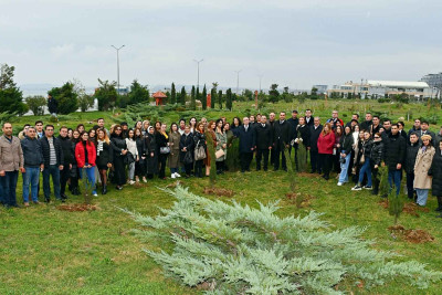 Sumqayıt Bulvarında ağacəkmə aksiyası baş tutub