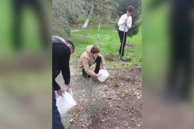 Məktəbyanı sahədə ağaclar əkilib, təmizlik işləri görülüb