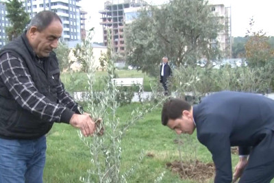 Şəhərimizin 73 yaşı ilə əlaqədar ağacəkmə aksiyası təşkil olunub