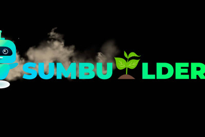 “SUMbuilders” komandasının uğur statistikası