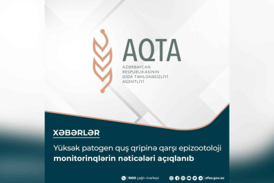 Sumqayıtın quşçuluq müəssisələrində yoxlama keçirilib