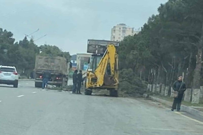Heydər parkında abadlıq işləri görülüb