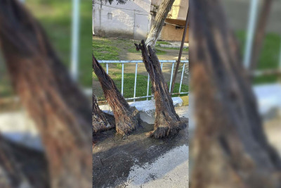 4-cü mikrorayonda kanalizasiya quyuları təmizlənib
