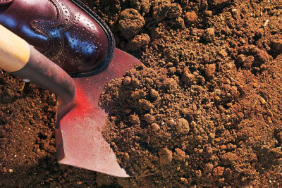 81 yaşlı kişini öldürüb həyətdə basdıran şəxsin istintaqı yekunlaşıb