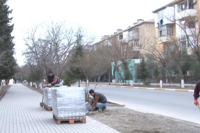 Polad Həşimov küçəsi abadlaşdırılıb