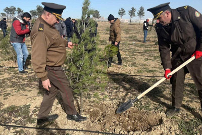 Ceyranbatanda ağacəkmə aksiyası baş tutub