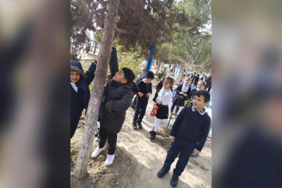 Balalarımız köçəri quşlara isti yuva qurublar