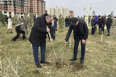 İdarə əməkdaşları, gənclər və idmançılar bulvarda ağaclar əkiblər