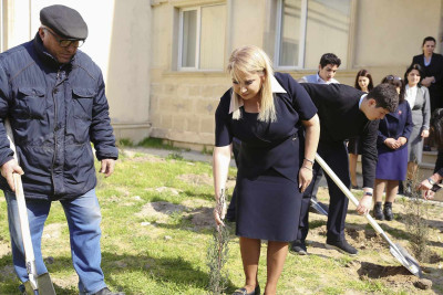 Polad Həşimov adına 28 nömrəli tam orta məktəbin həyətində 200-ə qədər ağac əkilib